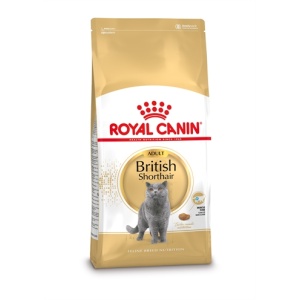 Royal canin british shorthair