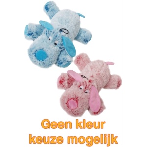 Harige hond roze/blauw