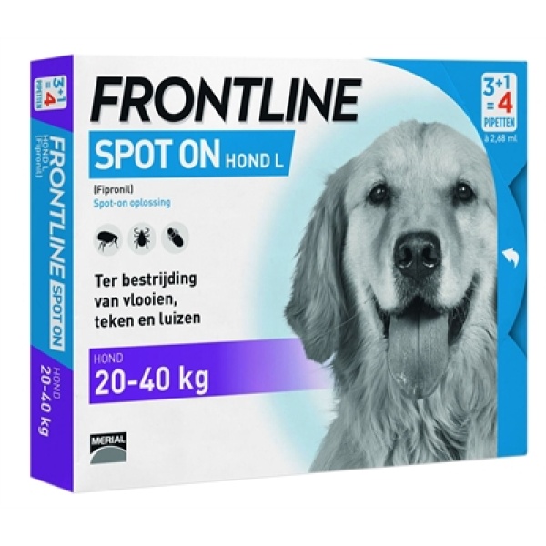 Frontline hond spot on large