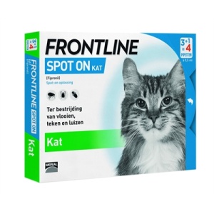 Frontline kat spot on