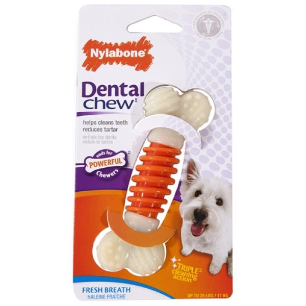 Nylabone dental chew baconsmaak