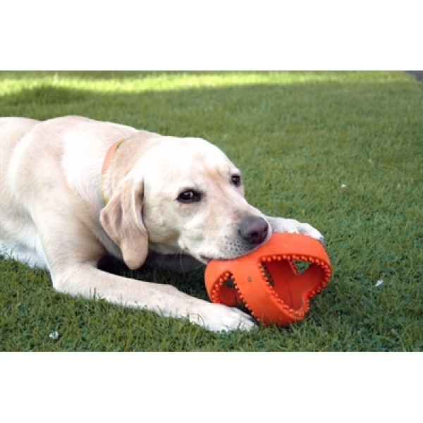 Happy pet grubber interactieve voetbal oranje