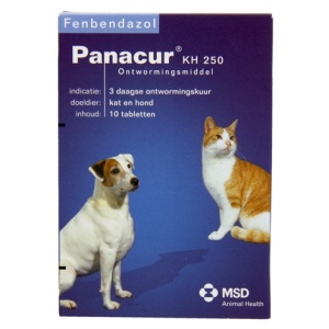 Panacur hond/kat